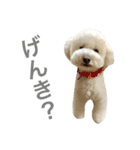 おではピノ。（個別スタンプ：4）
