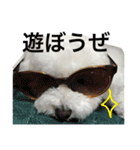 おではピノ。（個別スタンプ：6）