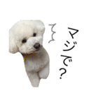 おではピノ。（個別スタンプ：13）