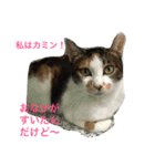 Cat who became happy（個別スタンプ：8）