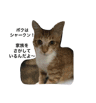 Cat who became happy（個別スタンプ：9）