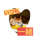 lovely conayuki（個別スタンプ：6）