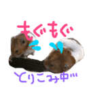 ポコタ本（個別スタンプ：6）