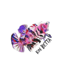 i Love Betta（個別スタンプ：1）