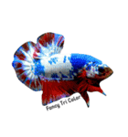 i Love Betta（個別スタンプ：5）