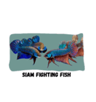 i Love Betta（個別スタンプ：7）