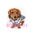 カニンヘンダックス マリンの日記（個別スタンプ：7）