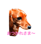 カニンヘンダックス マリンの日記（個別スタンプ：9）