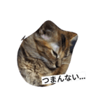 モナコ（個別スタンプ：3）