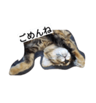 モナコ（個別スタンプ：7）