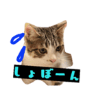 ごま塩兄弟（個別スタンプ：3）