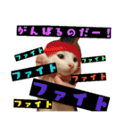ごま塩兄弟（個別スタンプ：5）