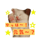 ごま塩兄弟（個別スタンプ：14）