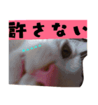 ごま塩兄弟（個別スタンプ：15）