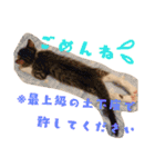 ごま塩兄弟（個別スタンプ：17）