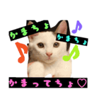 ごま塩兄弟（個別スタンプ：19）