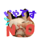 ごま塩兄弟（個別スタンプ：23）