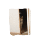 うちの猫たつ（個別スタンプ：25）
