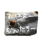 むんむん むんちゃん（個別スタンプ：7）