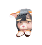 すいぶ〜（個別スタンプ：6）