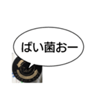 亞煮君名言スタンプ（個別スタンプ：7）
