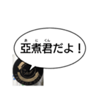 亞煮君名言スタンプ（個別スタンプ：16）