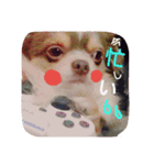 豆次郎 日常（個別スタンプ：2）