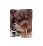豆次郎 日常（個別スタンプ：3）