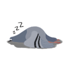 Hubertus the Pigeon（個別スタンプ：7）