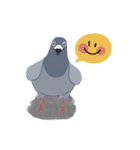 Hubertus the Pigeon（個別スタンプ：8）