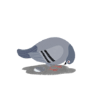 Hubertus the Pigeon（個別スタンプ：10）