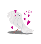 Hubertus the Pigeon（個別スタンプ：12）