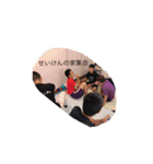 今鹿のニチジョー（個別スタンプ：5）