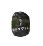 今鹿のニチジョー（個別スタンプ：35）