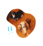 puure＆ramu（個別スタンプ：2）