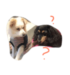 puure＆ramu（個別スタンプ：3）