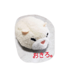 ハムスターから3文字メッセージ（個別スタンプ：1）
