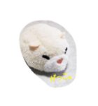 ハムスターから3文字メッセージ（個別スタンプ：4）