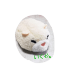 ハムスターから3文字メッセージ（個別スタンプ：6）