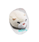 ハムスターから3文字メッセージ（個別スタンプ：15）