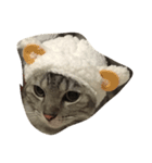 cat miau（個別スタンプ：3）