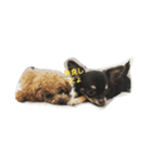 ソルトさんの1日（個別スタンプ：4）