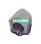 ソルトさんの1日（個別スタンプ：12）