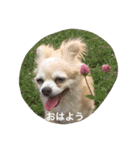 はい、ゆずです。（個別スタンプ：2）