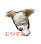はい、ゆずです。（個別スタンプ：4）