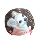 はい、ゆずです。（個別スタンプ：12）