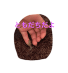 ぺろちゃん すきすき（個別スタンプ：2）