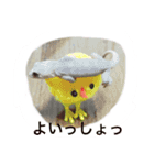 ぺろちゃん すきすき（個別スタンプ：3）