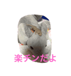 ぺろちゃん すきすき（個別スタンプ：6）