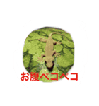 ぺろちゃん すきすき（個別スタンプ：8）